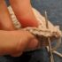 Crochet & Knitting Classes Fairfield, CA